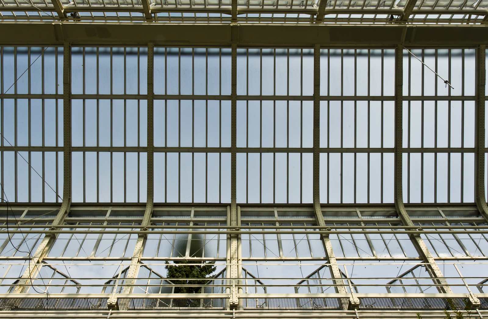 Verrière d'une serre