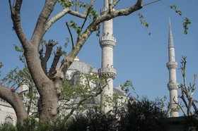 La mosquée Blueue