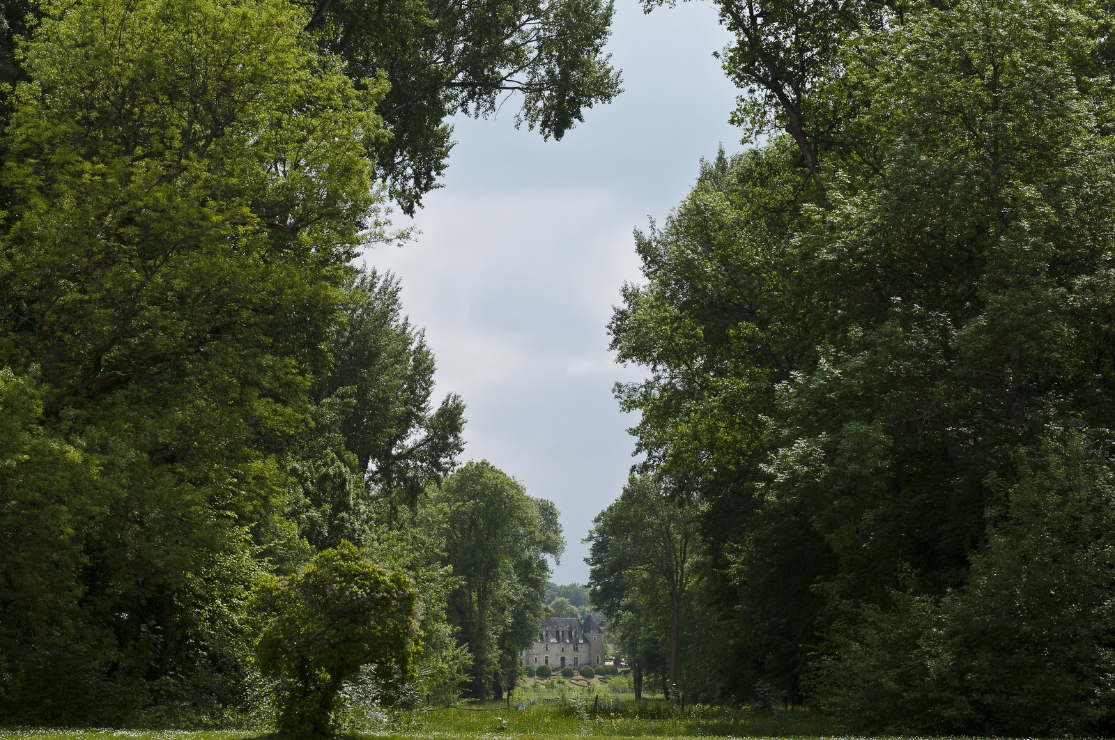 Parc d'Azay-le-Rideau