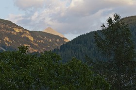 Montagnes et forêts