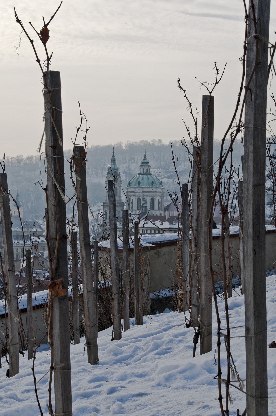Les vignes du château