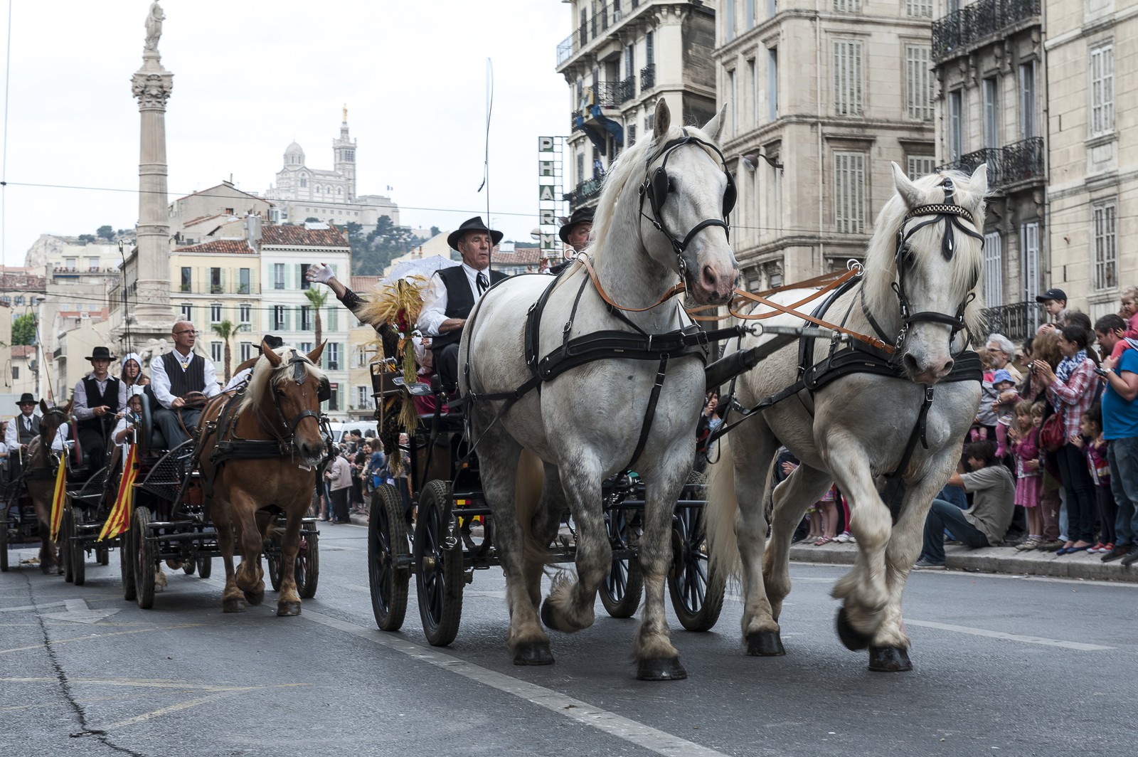 TransHumance : défilé de charettes