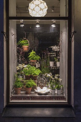 Vitrine de fleuriste