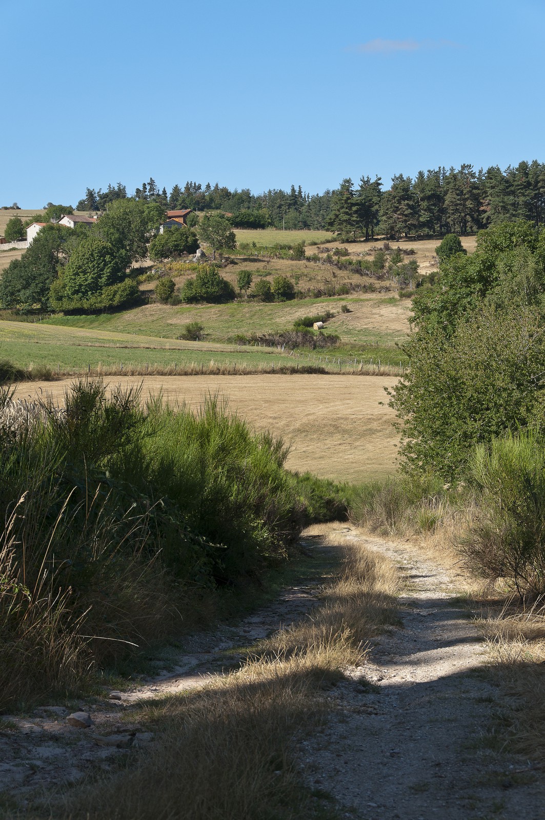Chemin dans la campagne