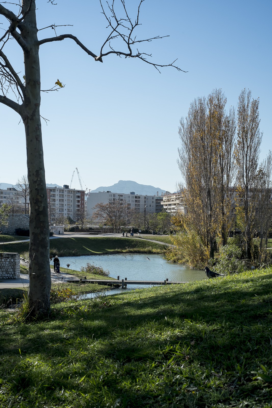 Parc du 26e centenaire