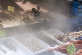 Etal de poissonnerie