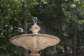 Le corbeau sur la fontaine